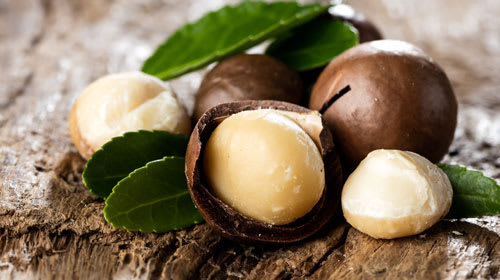 Macadamia – Queen der Nüsse