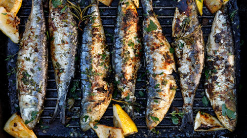 Gegrillte Sardinen – Beliebter mediterraner Leckerbissen